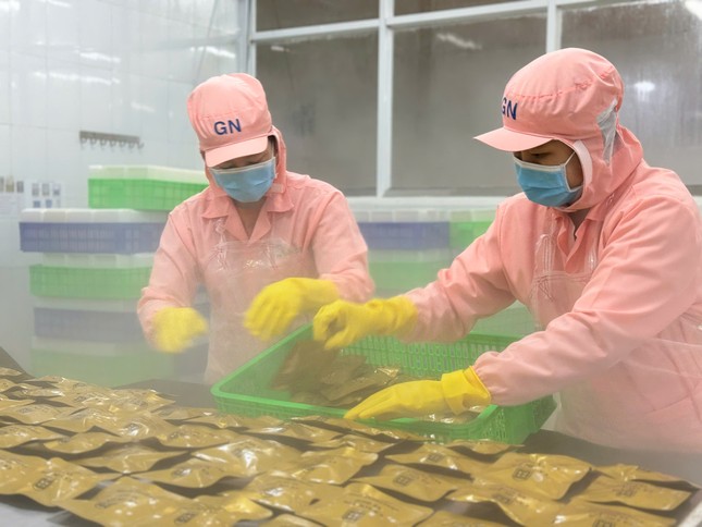 Nhân viên đang đóng gói lạnh đặc sản bánh canh cá lóc của Huế .jpg